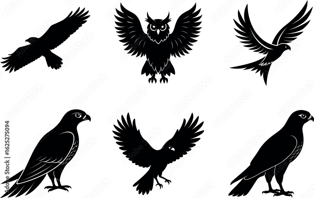 Obraz premium European woodland raptors silhouette collection six powerful birds in vector