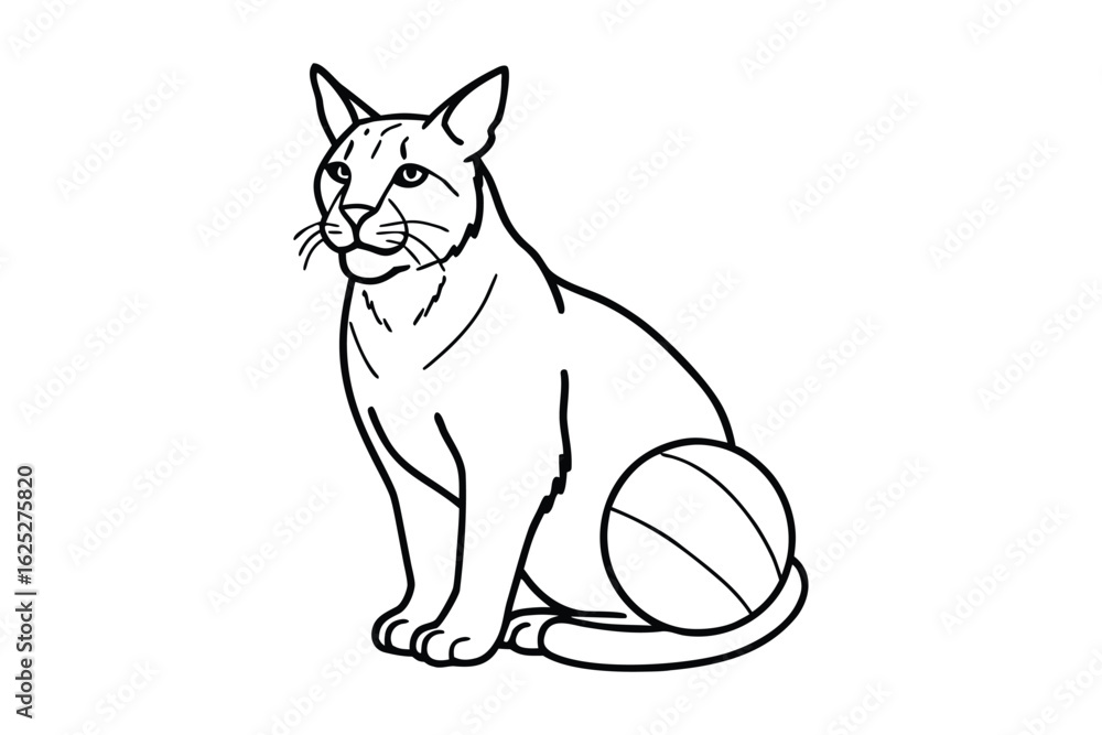 Fototapeta premium Stylized line drawing of a bobcat sitting next to a ball