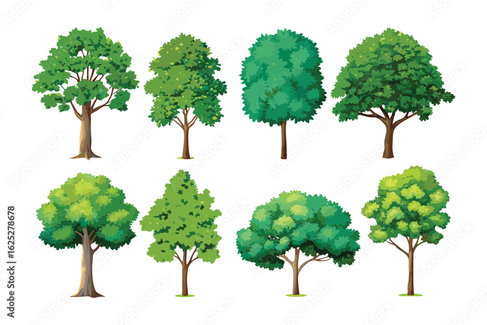 Fototapeta premium Ecosystem Showcase: A vibrant collection of various trees thrives, symbolizing the resilience and essential role in balancing the Earth's delicate ecosystem.