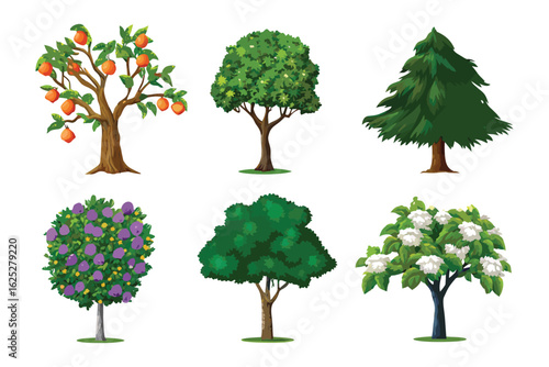 Diverse Tree Collection: A vibrant assortment of trees, each displaying unique foliage and characteristics, against a clean background, showcasing botanical variety and natural beauty.