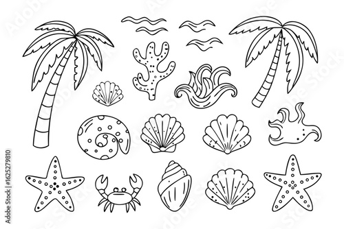 Coastal Flora and Fauna Line Art: A collection of detailed line drawings featuring various elements of coastal flora and fauna. Perfect for coloring pages, educational materials.