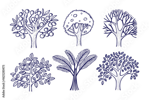 Varied Tree Sketches: Diverse tree sketches, with intricate details, provide a glimpse into the artistic rendering of arboreal forms, capturing botanical variation and illustrative creativity.