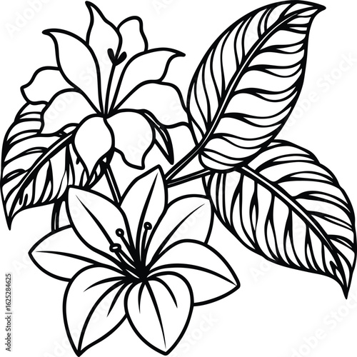 Tropical floral line art seamless, tropical flowers and leaves