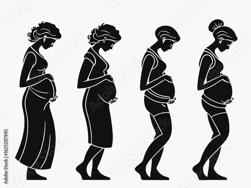 Stages of Pregnancy Illustration Showing Changes in Woman Silhouette Body Shape silhouette