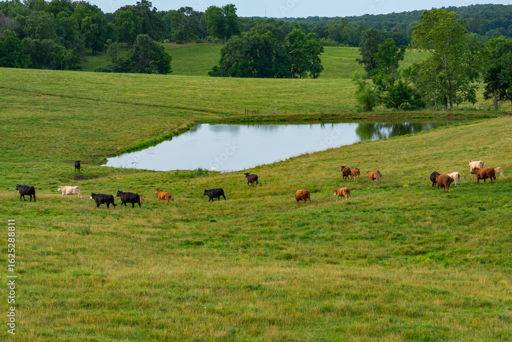 Rural Missouri Countryside Rural Missouri Countryside