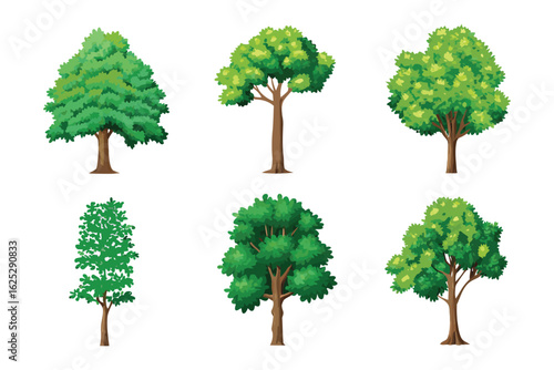 Variety of Trees: A vibrant collection of trees in various shapes, sizes, and leaf densities, showcasing the beauty and diversity of nature's arboreal wonders.