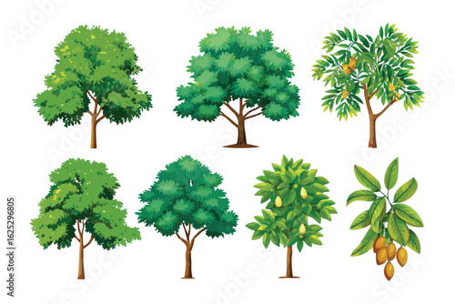Tree Collection Illustration: A vibrant illustration showcases a diverse collection of trees, each with unique leaf structures and silhouettes.
