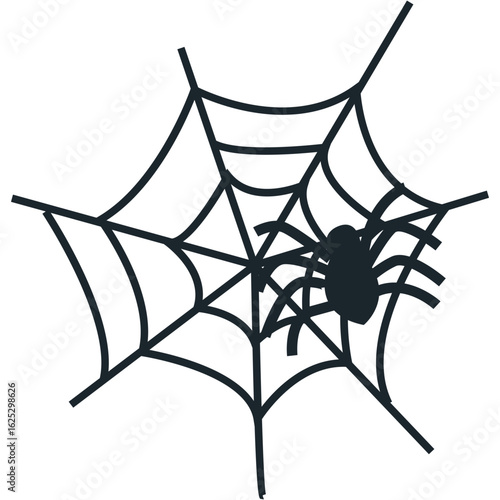 spider and web