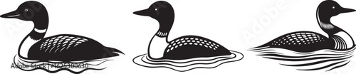 Two Loon Birds Silhouetted on Water