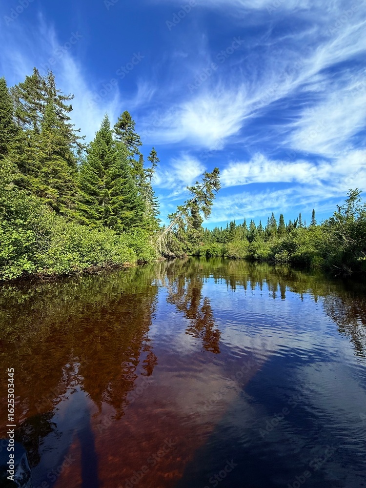 Fototapeta premium Summer morning in Mont Tremblant national park, Quebec, Canada