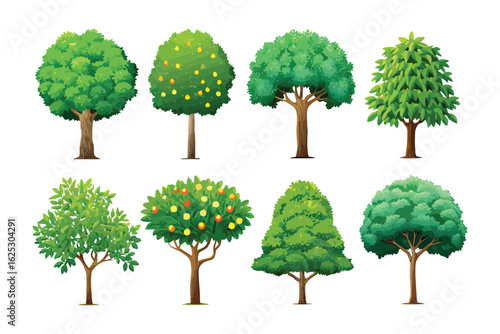 Diverse Tree Illustrations: A vibrant collection of illustrated trees showcases a variety of arboreal forms. Each unique silhouette evokes the essence of the great outdoors. 