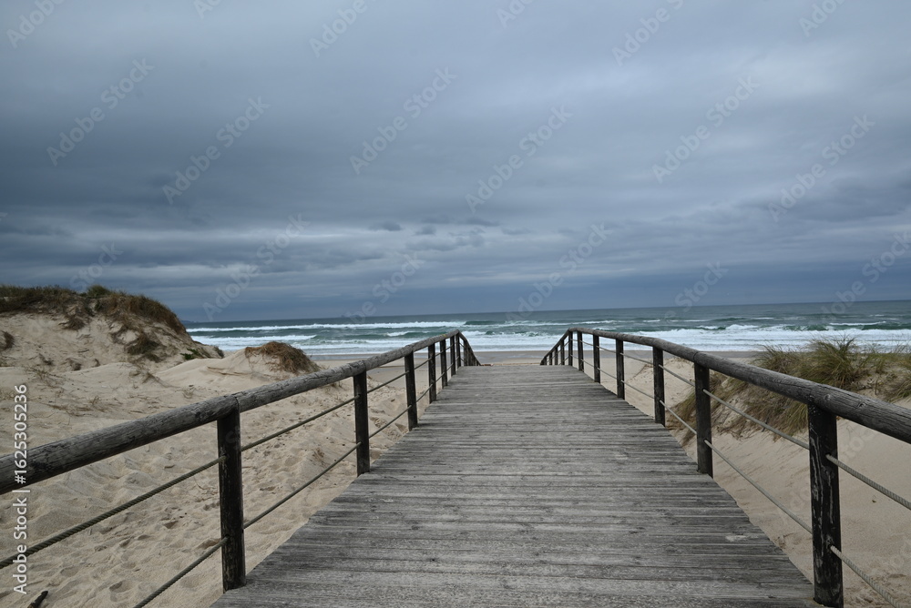 Obraz premium pier on the beach