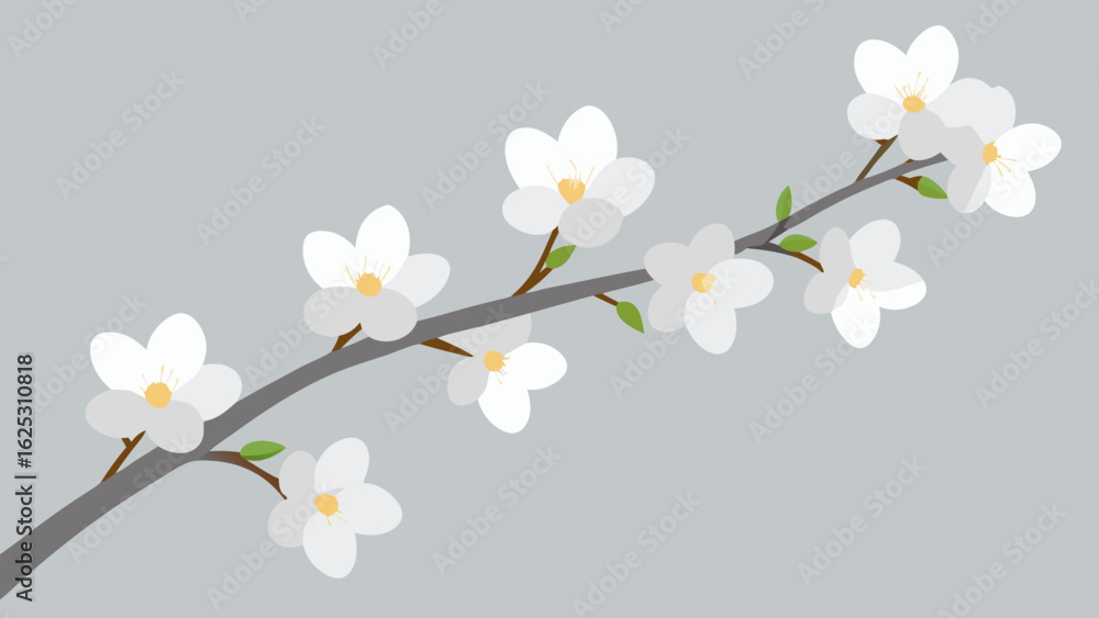 Obraz premium white flowers on white background