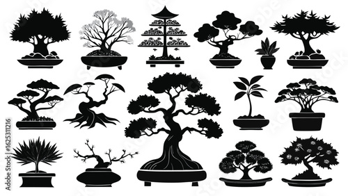 Collection of silhouetted bonsai trees in pots