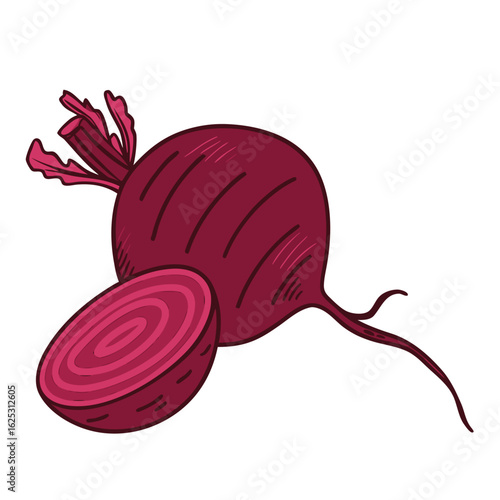 Deep red beet with green leaves and sliced cross section root vegetable