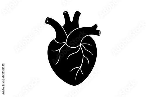 Understanding Lung Health: A Guide to the Respiratory System