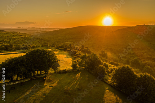 Wallpaper Mural Golden sunrise over the rocky tors of Dartmoor, casting warm light across the rugged moorland and rolling hills Torontodigital.ca