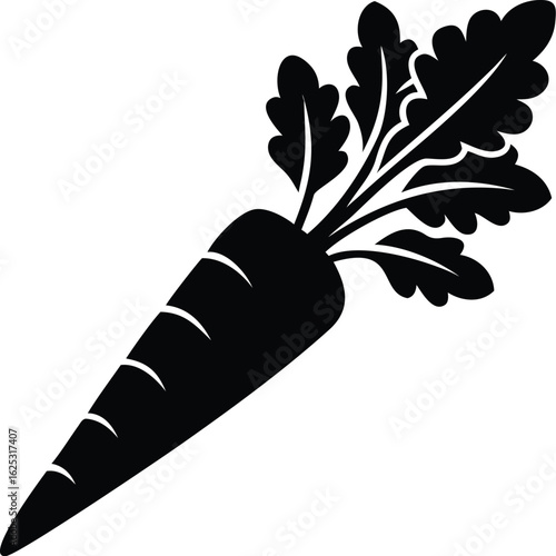 Vector illustration of carrot vegetable isolated