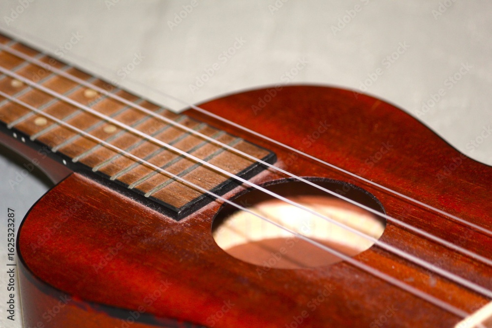 Fototapeta premium acoustic guitar close up