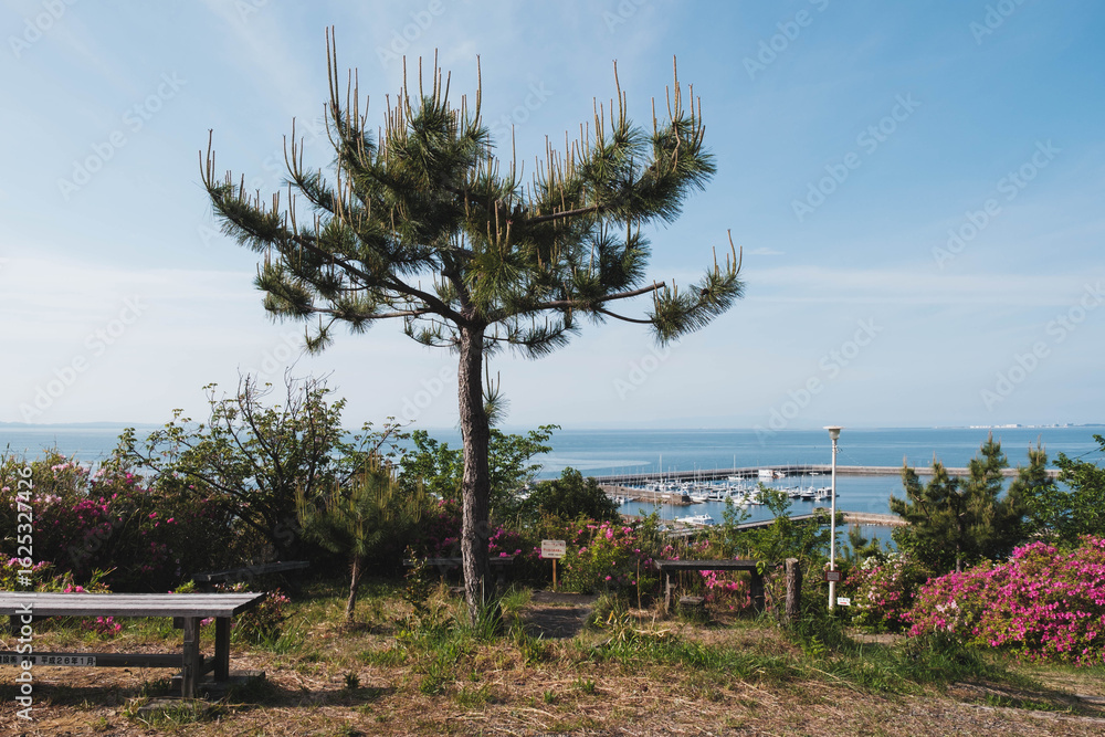 Obraz premium あたご山、ノスタルジックな雰囲気が漂う大阪の下町の風景、大阪、日本