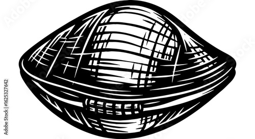 Vintage woodcut style illustration of a closed clam or bivalve shellfish, isolated on a white background, perfect for seafood menus or marine life designs.