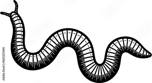 Black and white hand-drawn illustration of an earthworm. Detailed vintage-style segmented worm for nature, garden, and fishing themes.