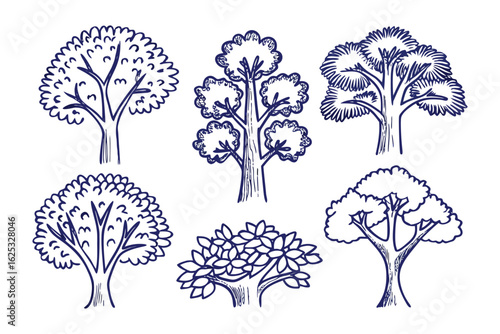 Tree Sketches Collection: An artistic array of hand-drawn tree sketches, capturing a range of arboreal forms from various angles and styles, perfect for design and nature enthusiasts.