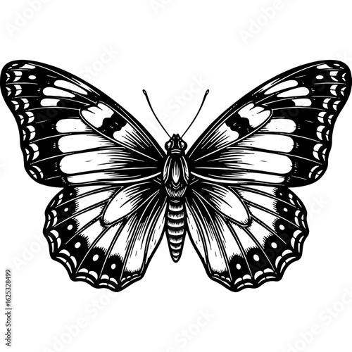 Vintage style butterfly illustration in black and white. Elegant monochrome insect design, a beautiful artistic depiction of nature's beauty.