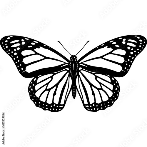 Detailed black and white butterfly vector illustration, elegant insect drawing, nature silhouette design element, wildlife art.