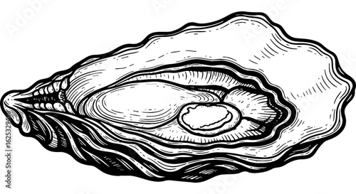 Hand-drawn vintage style engraving of a single open oyster shell with meat, a classic black and white seafood illustration.