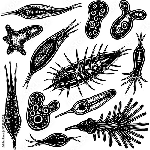 Artistic hand-drawn set of diverse microscopic life forms. Abstract bacteria, protozoa, and microorganisms. Science illustration.