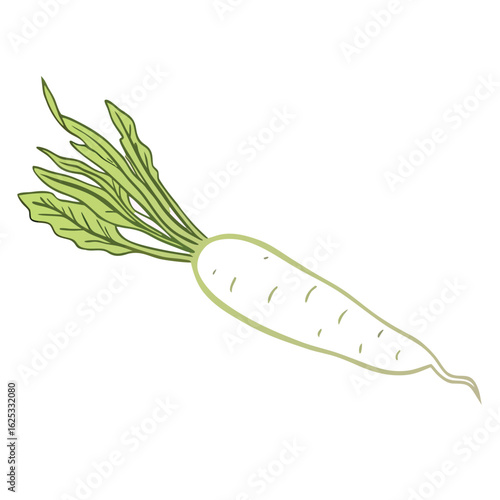 Green leafy root vegetable with pale green body and subtle markings leaves