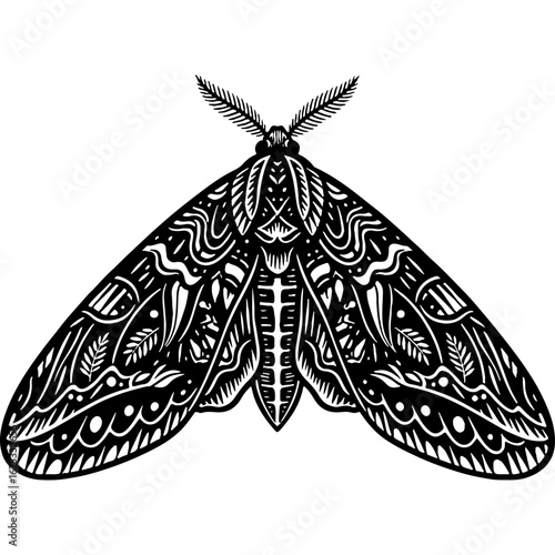 Detailed black and white illustration of an elegant nocturnal moth with intricate decorative wing patterns, isolated on white, vector art.