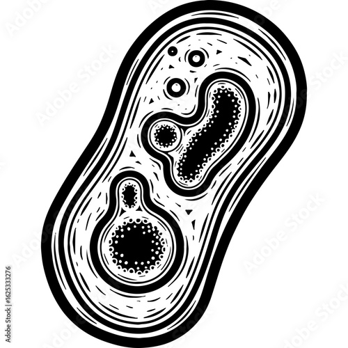 Abstract black and white microscopic organism illustration. Scientific cell or bacteria concept art. Biology, virus, microbe, pathogen.