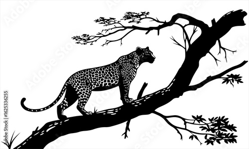 Black Silhouette of Leopard with Defined Spots on Gnarled Tree Branch – Classic Woodcut Style Illustration

