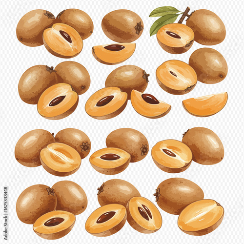 A collection of watercolor illustrations of sapodilla fruits, shown whole, halved with seeds, and sliced into wedges.