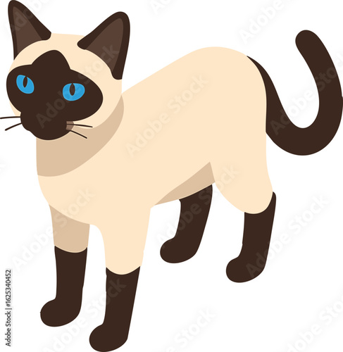 Isometric vector siamese cat standing with cream coat and dark ears, piercing blue eyes, vector-friendly, isolated on white