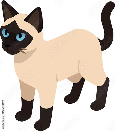 Isometric vector siamese cat standing with cream coat and dark ears, piercing blue eyes, vector-friendly, isolated on white