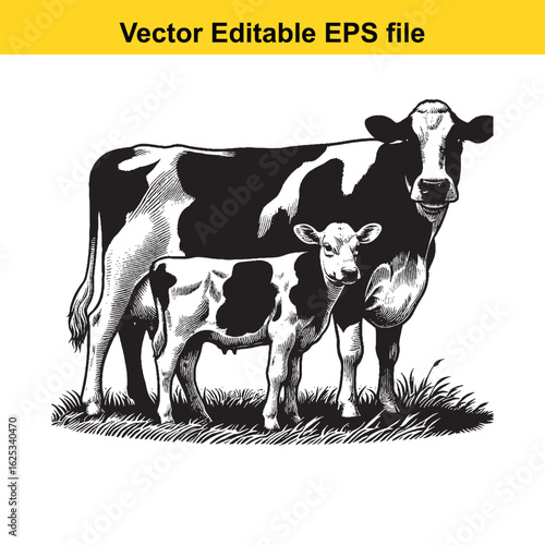 vector art of cow and calf standing in a grassy field, isolated on white background