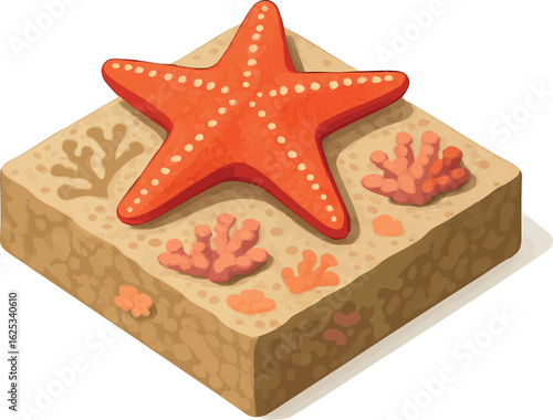 Isometric vector starfish on coral reef tile, textured surface, vector-friendly, isolated on white