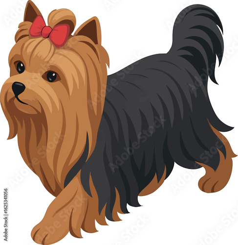 Isometric vector yorkshire terrier walking with long silky fur and bow, vector-friendly, isolated on white