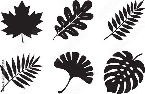 Botanical Silhouette Collection Featuring Maple, Oak, Palm, Fern, Ginkgo, and Monstera Leaves