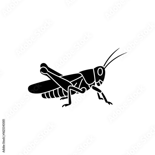 Silhouette grasshopper