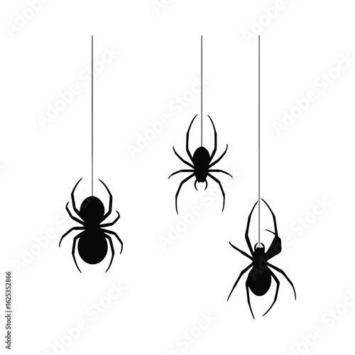 Three black spiders hanging on white arachnids