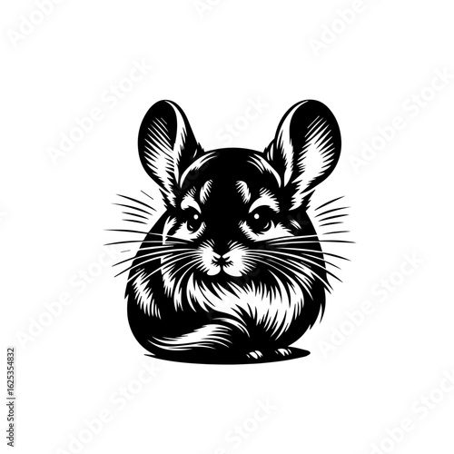 Adorable chinchilla rodent in a black and white graphic style.