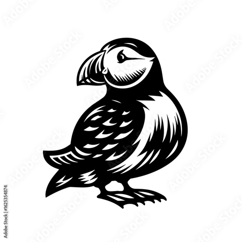 Atlantic puffin seabird in black and white woodcut style illustration.