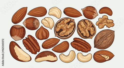 Assortment of Diverse Nuts Flat Lay Artistic Illustration for Healthy Snacking and Creative Designs