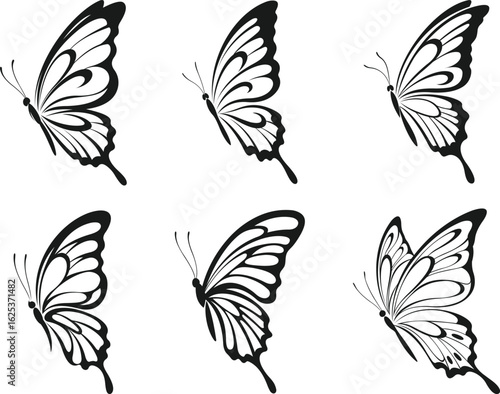  Butterfly silhouette black set. Butterfly icon. Monarch butterfly, Blue butterfly, Brown butterfly. Butterfly logo. Vector illustration.