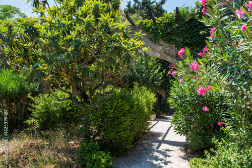 Medieval garden on the territory of the old town of Rhodes. Cypresses, shrubs, rhododendra, lemon trees, wildflowers