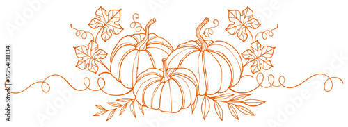 Pumpkin thanksgiving, autumn, halloween, element vector illustration